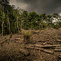 Waldvernichtung in Amazonien © Luis Barreto / WWF-UK