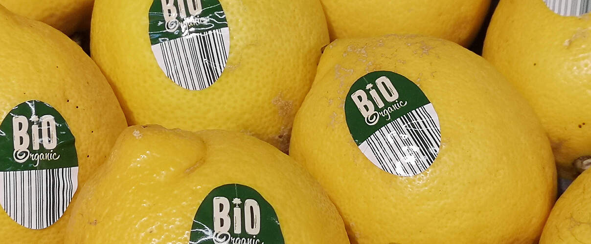 Bio-Zitronen