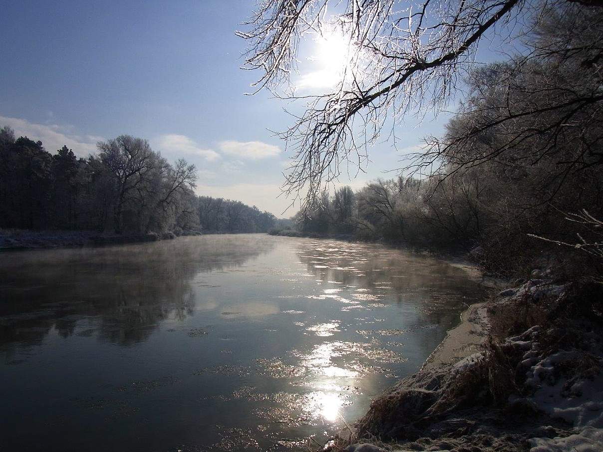 Untere Mulde bei Dessau © Bernd Eichhorn / WWF