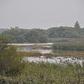 Flusslandschaft Ems © Claudia Stocksieker / WWF