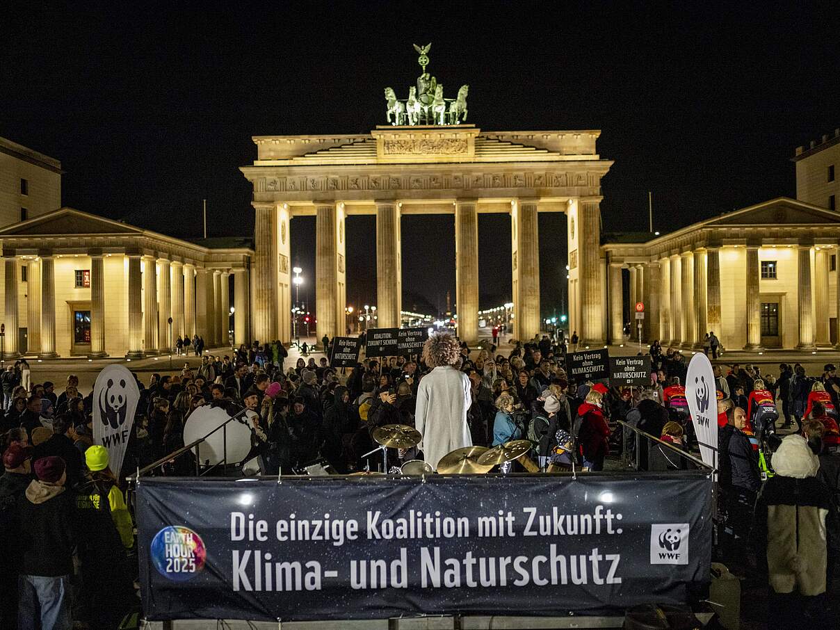 Die Earth Hour 2025 in Berlin © Kathrin Tschirner / WWF