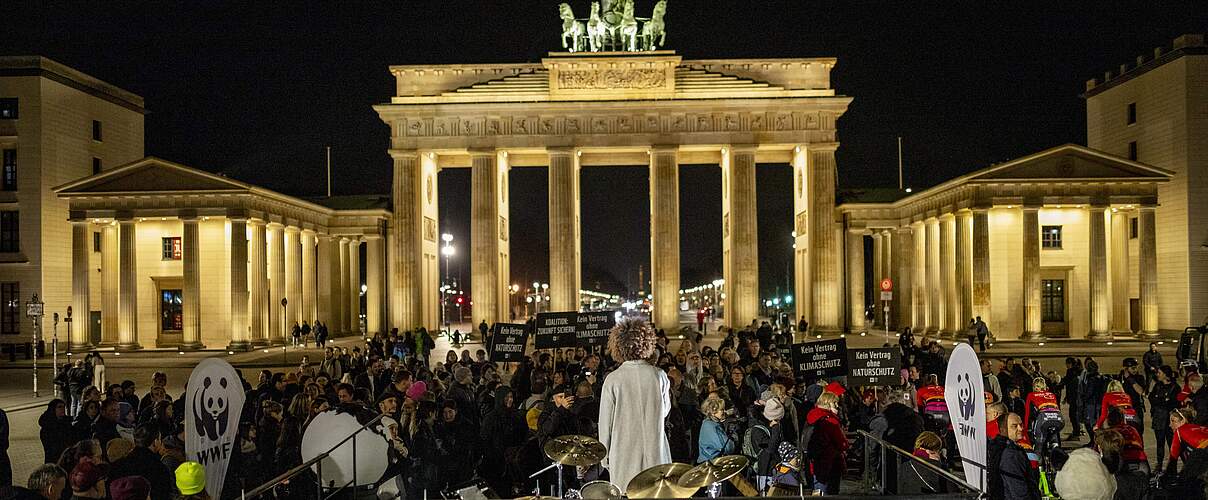 Die Earth Hour 2025 in Berlin © Kathrin Tschirner / WWF