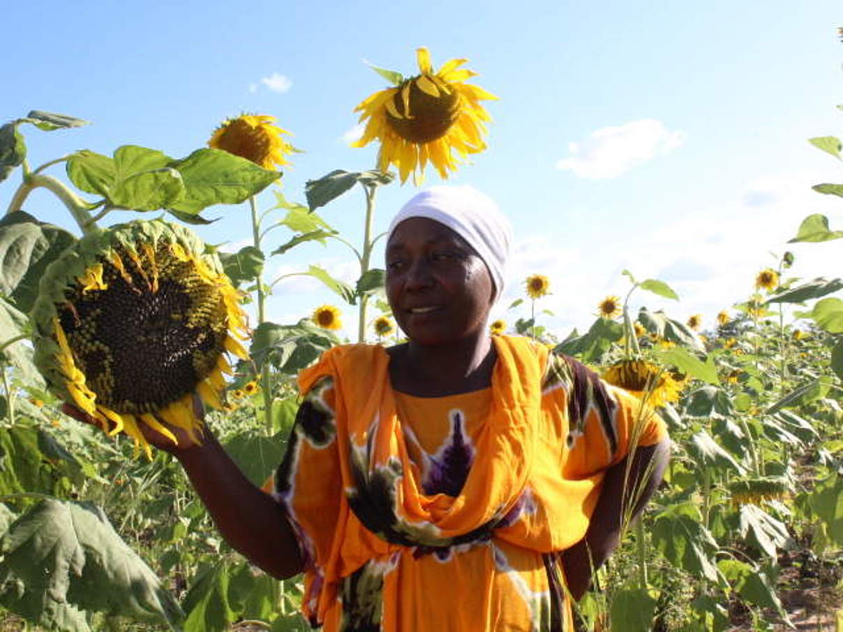 Famerin mit Sonnenblume © WWF