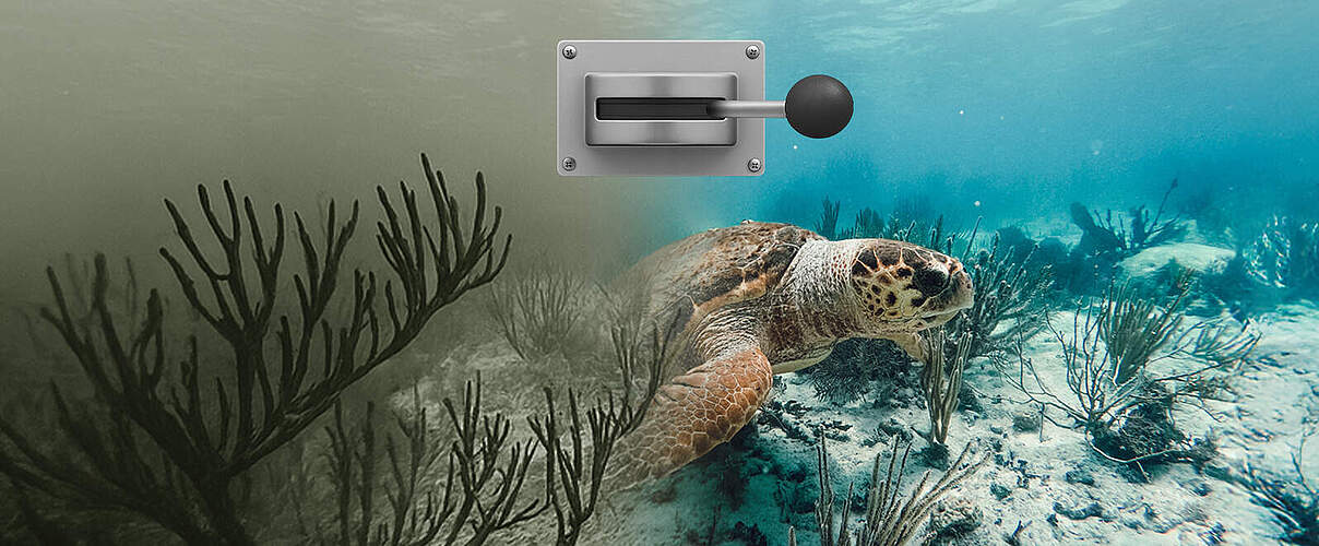 Meeresschildkröte mit Hebel 