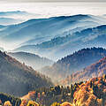 Schwarzwald 
