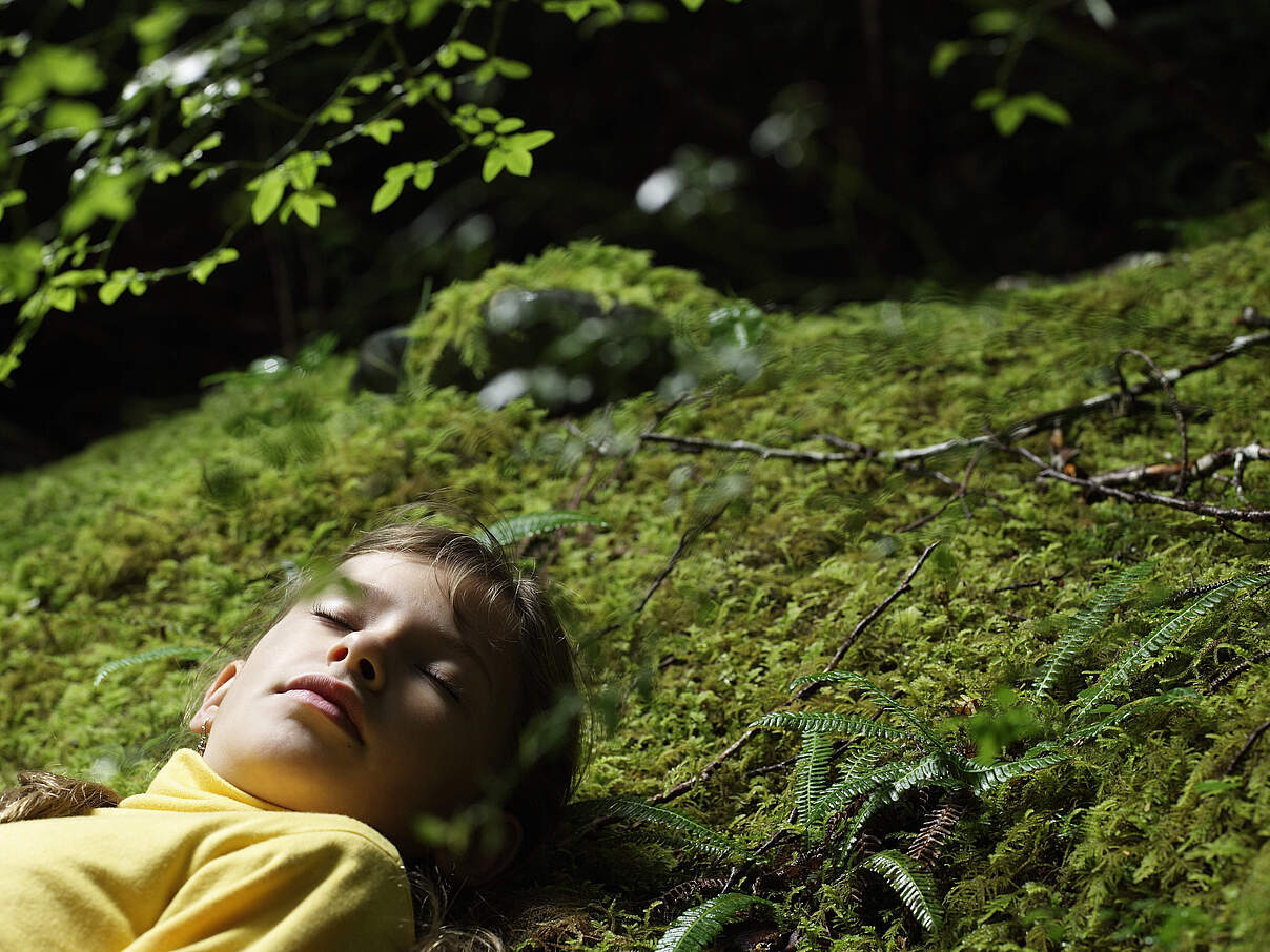 Kind schläft im Wald