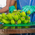 Bananen in der Verarbeitung