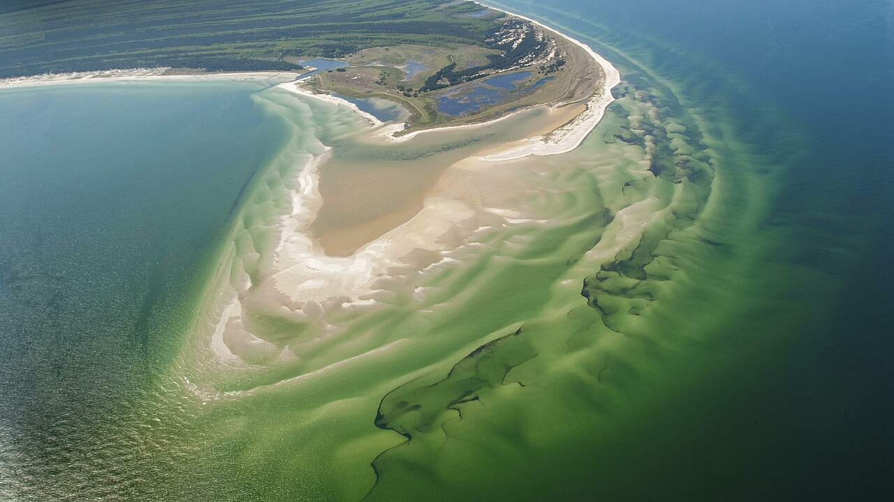 Fischland-Darß-Zingst © mauritius images / imageBROKER / Holger Weitzel