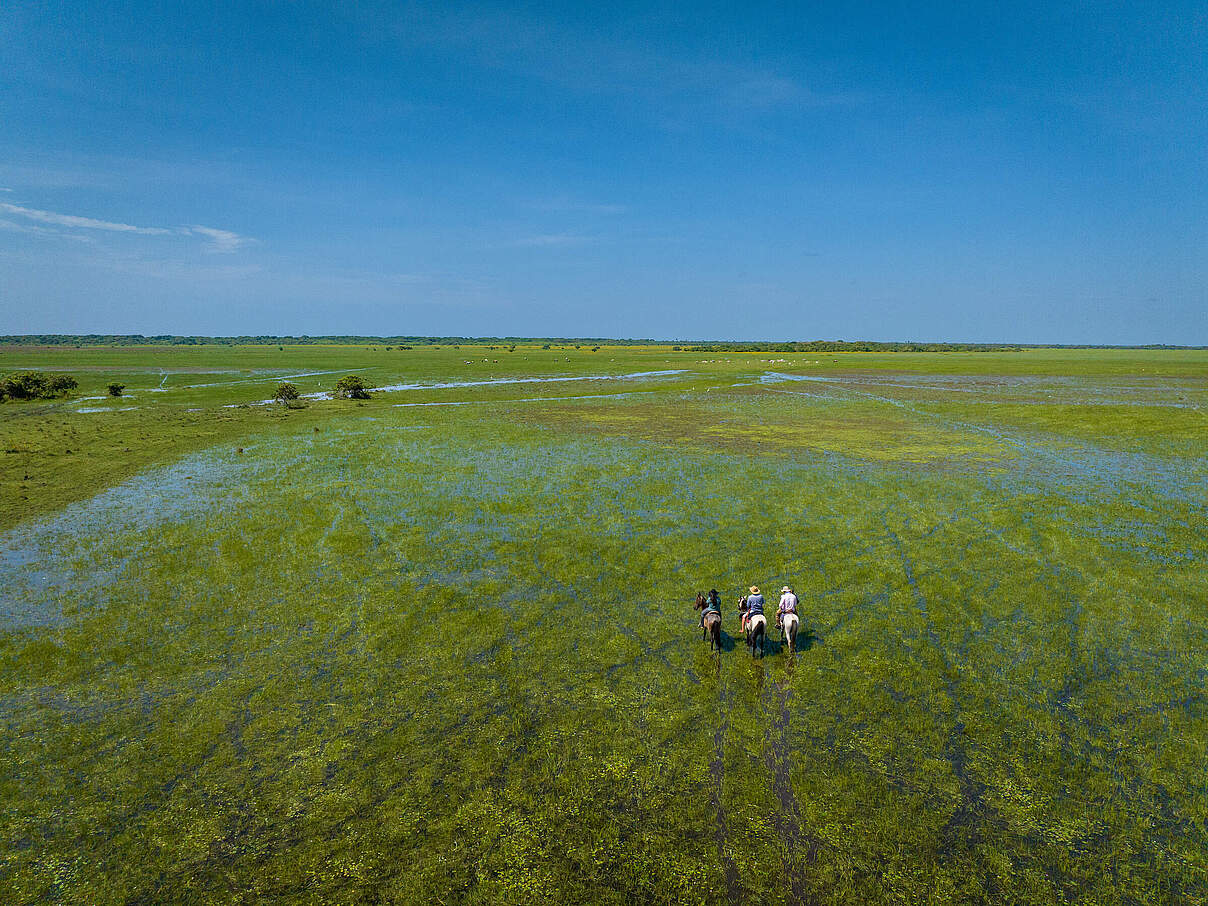 Viehzüchter in der kolumbianischen Orinoquia-Savanne © Julian Manrique / WWF Colombia