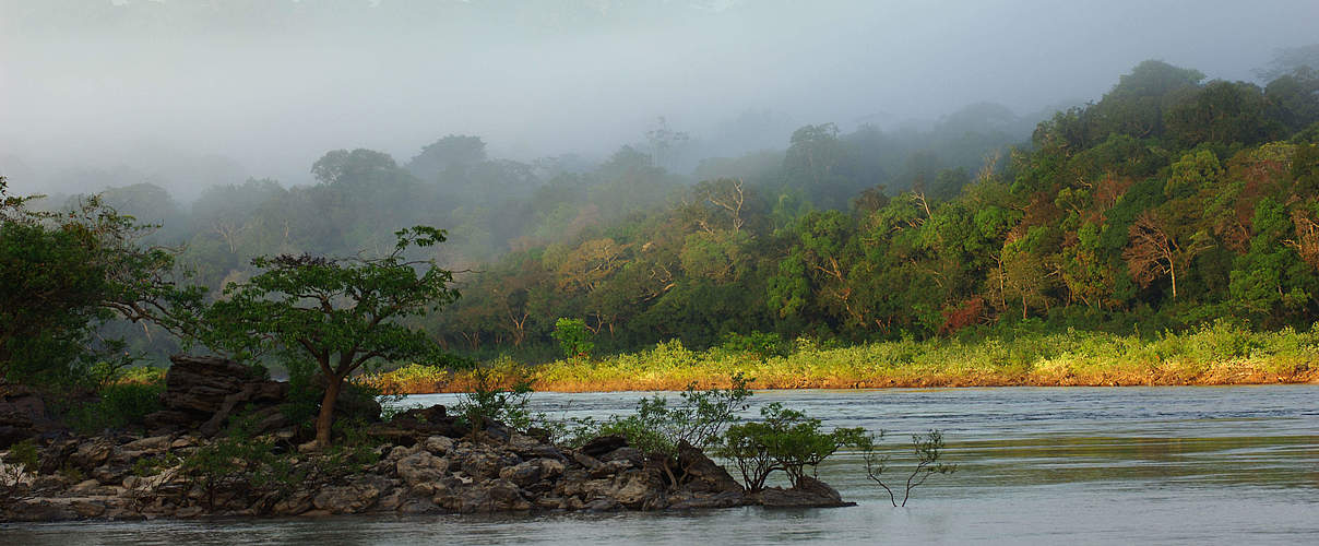 Rio Juruena bei Sonenaufgang © Zig Koch / WWF
