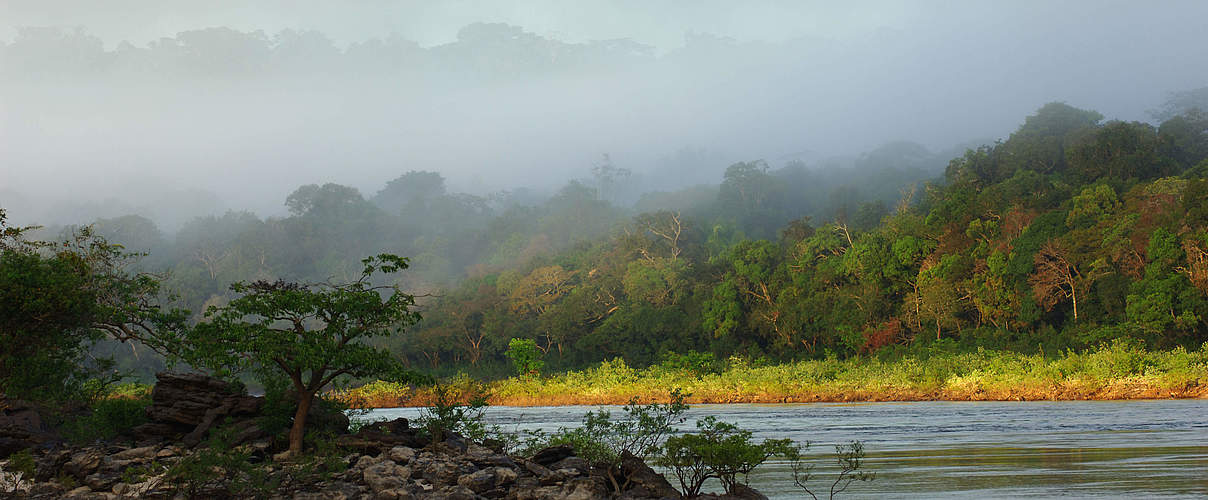Rio Juruena bei Sonenaufgang © Zig Koch / WWF