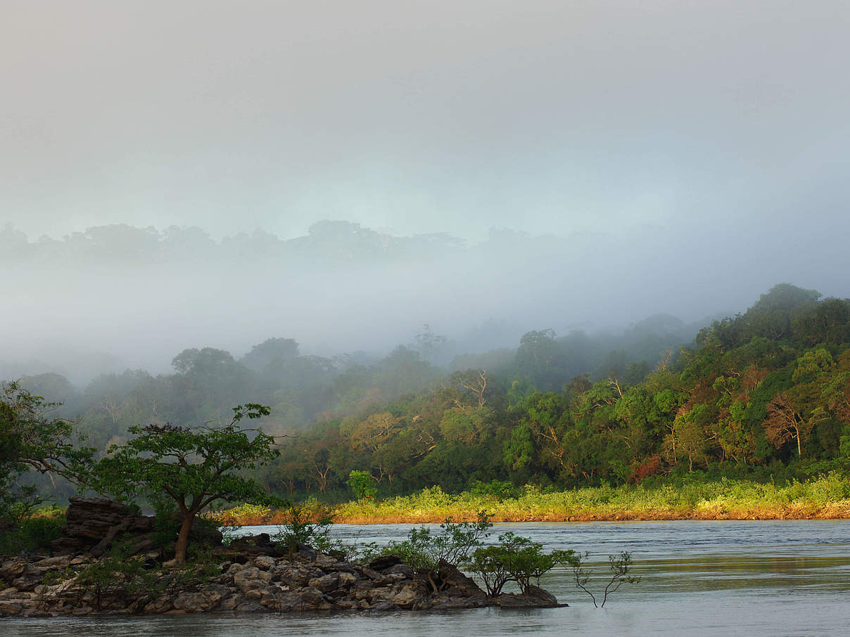 Rio Juruena bei Sonenaufgang © Zig Koch / WWF