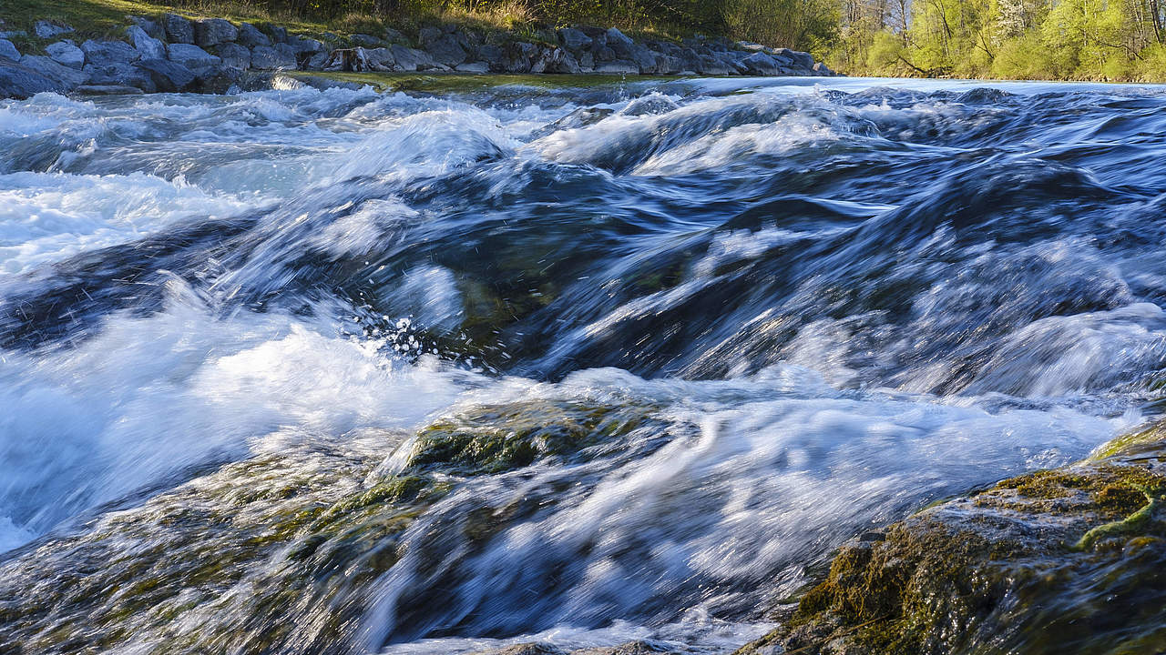 Lebendige Gewässer © Imago Images