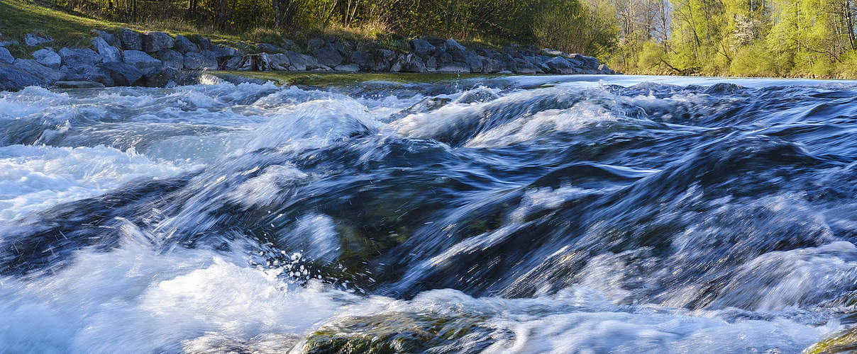 Lebendige Gewässer © Imago Images