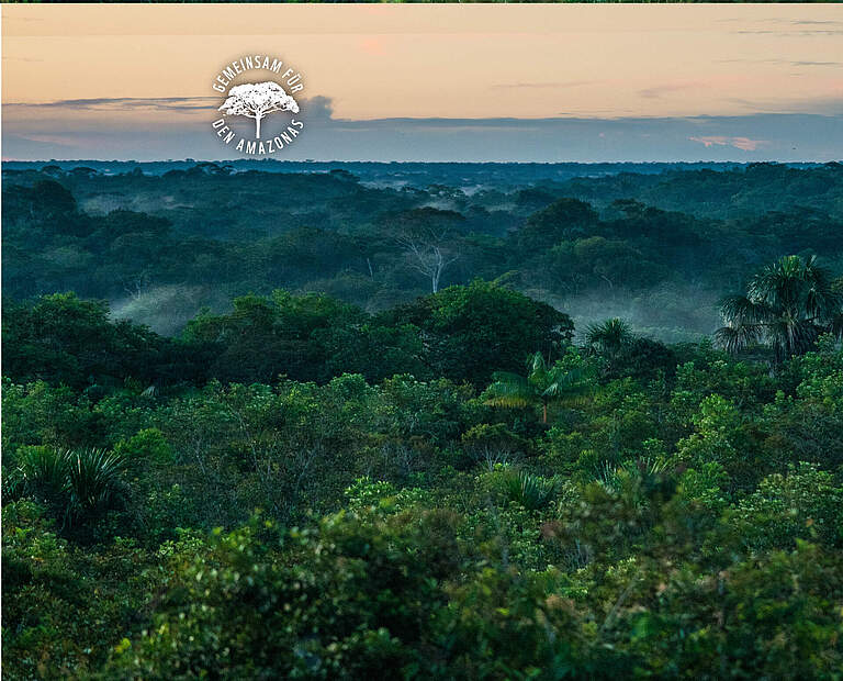 Das Blätterdach des Amazonas in Kolumbien © Luis Barreto / WWF UK