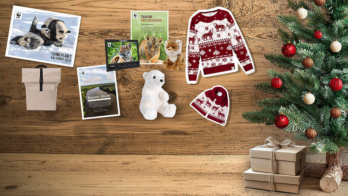 Tolle und nachhaltige Geschenkideen zu Weihnachten © WWF