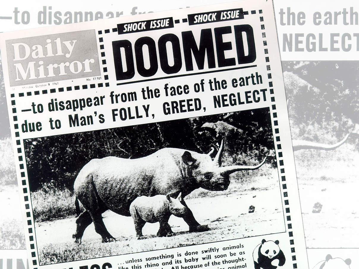 Die Titelseite des Daily Mirror im WWF-Gründungsjahr 1961 © MGT LTD