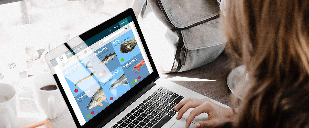 Der neue WWF Fischratgeber auf dem Laptop © wwf