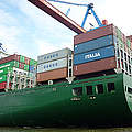 Ein Containerschiff im Hamburger Hafen ©Anna Holl WWF