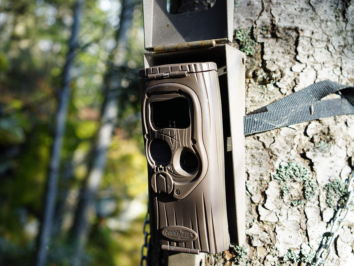 Monitoring mit Wildkamera © Robert Günther / WWF