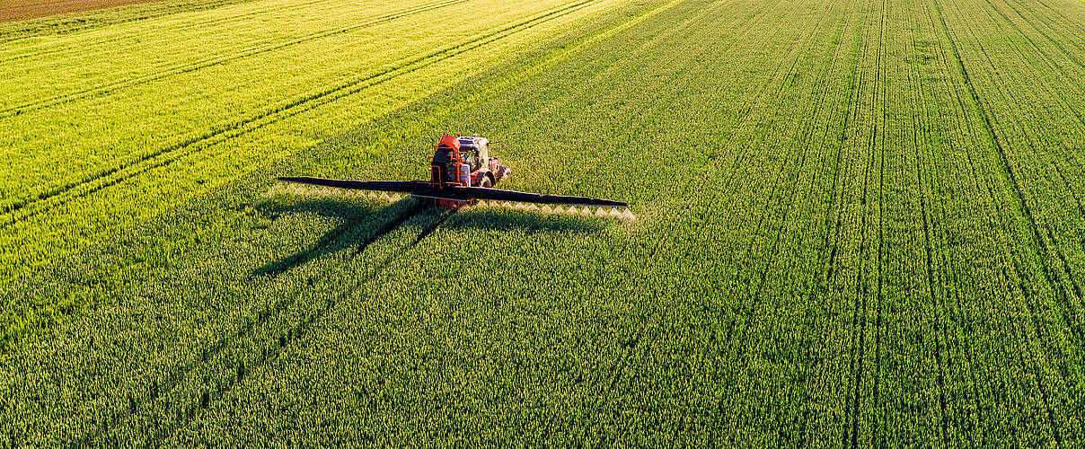 Traktor besprüht grünes Feld © oticki / iStock / Getty Images
