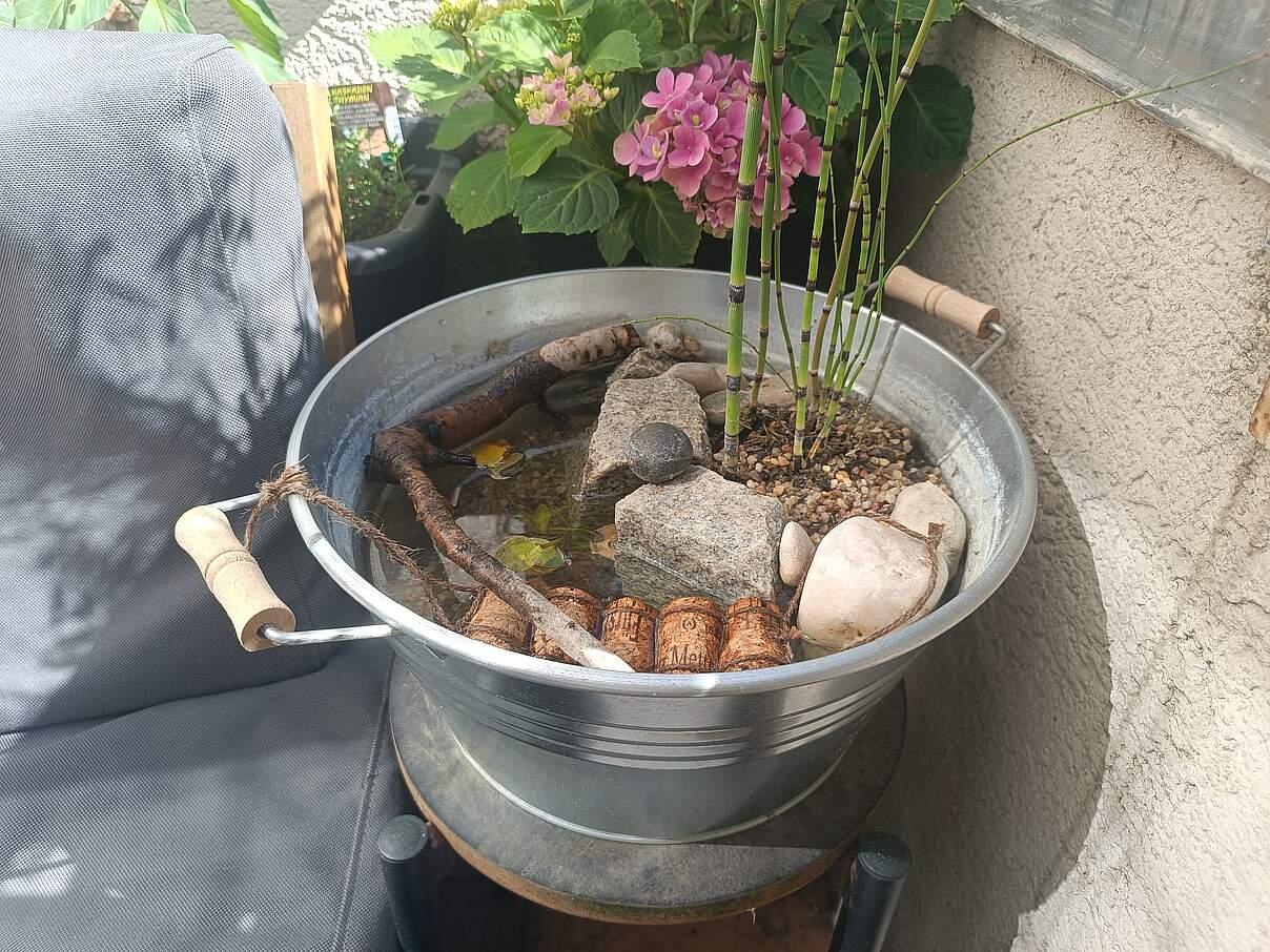 Toll für Insekten: Ein Miniteich auf dem Balkon