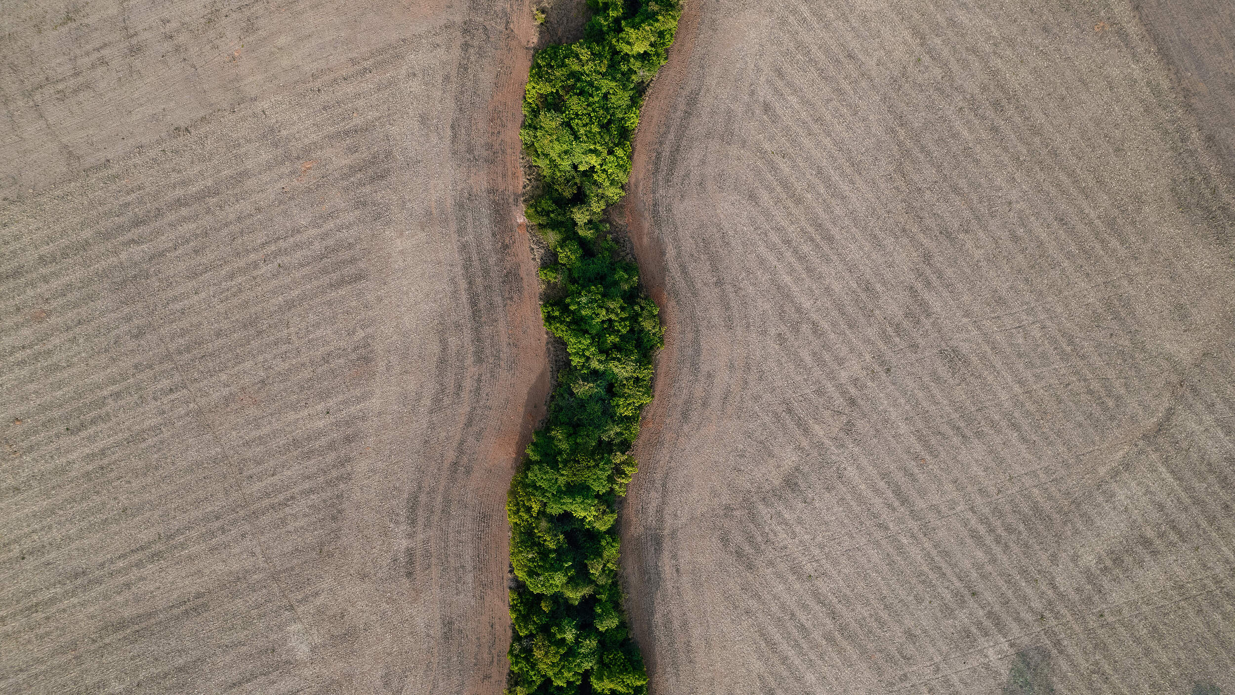Entwaldungsflächen für den Soja-Anbau im Cerrado © WWF Brasilien