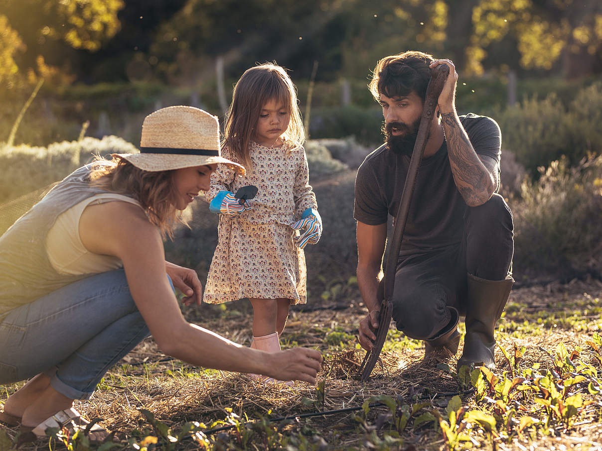 Gartenarbeit © jacoblund / iStock / Getty Images