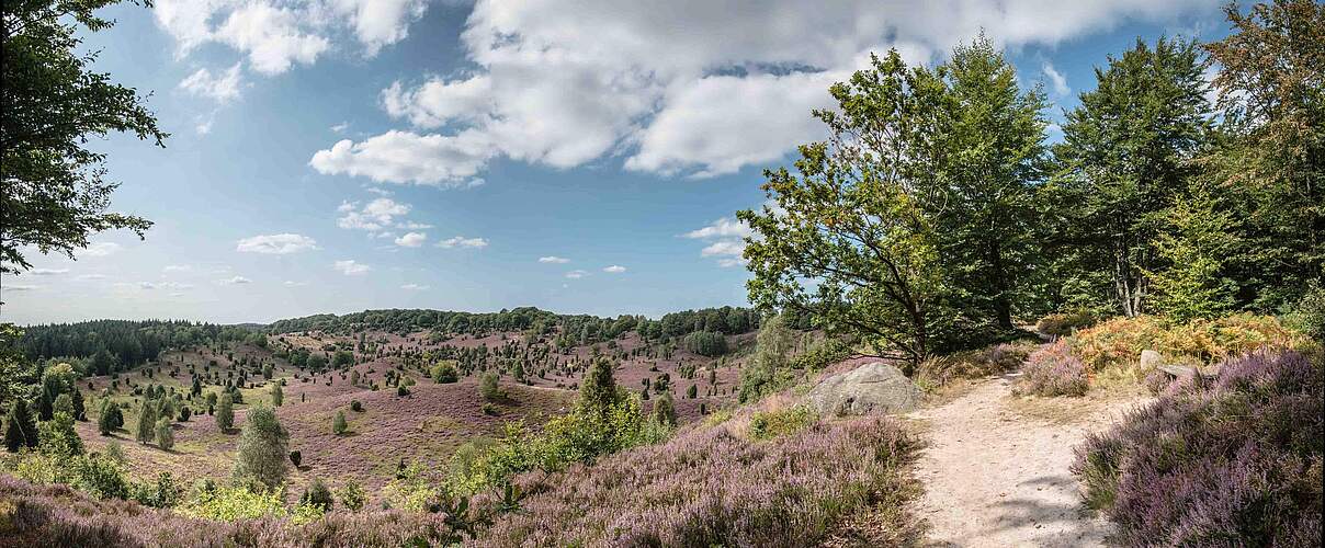 Lüneburger Heide © Regio Ranger