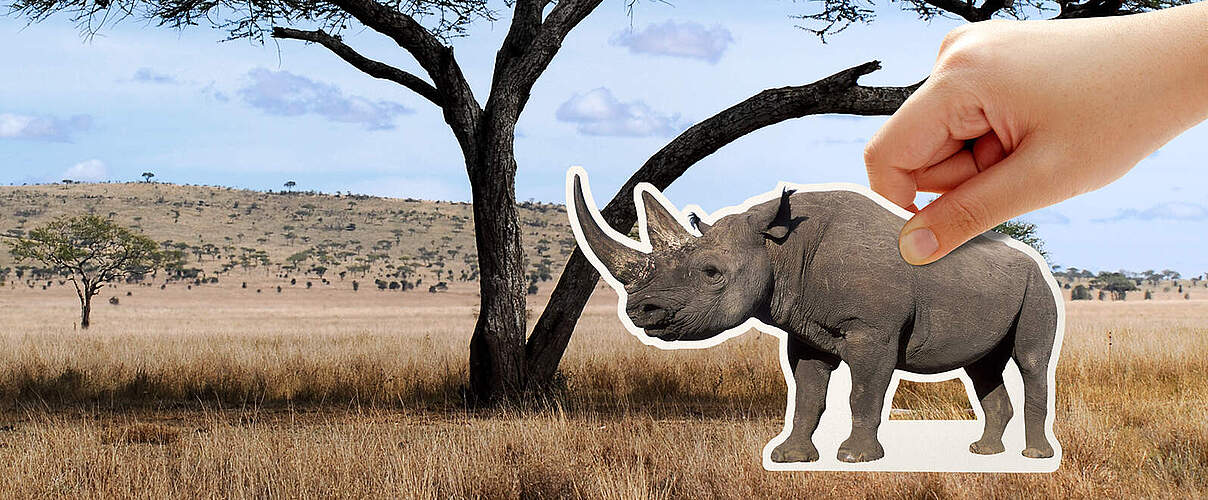 Es liegt in Ihrer Hand, die Nashörner zurückzubringen 