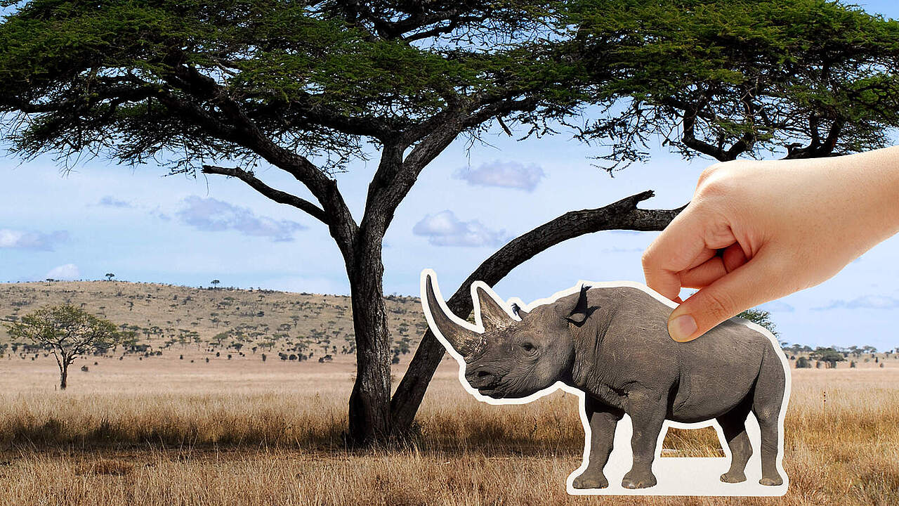 Es liegt in Ihrer Hand, die Nashörner zurückzubringen 