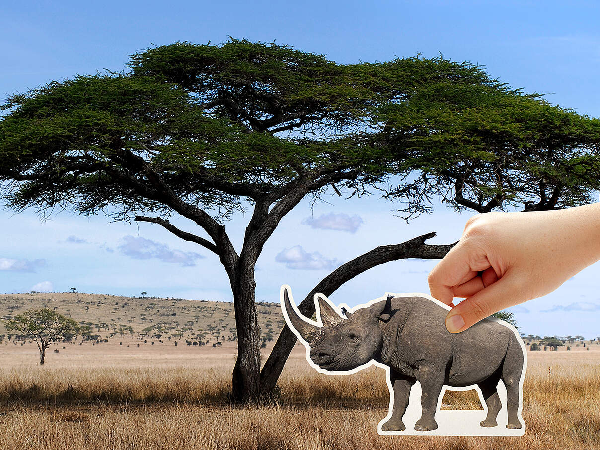 Es liegt in Ihrer Hand, die Nashörner zurückzubringen 