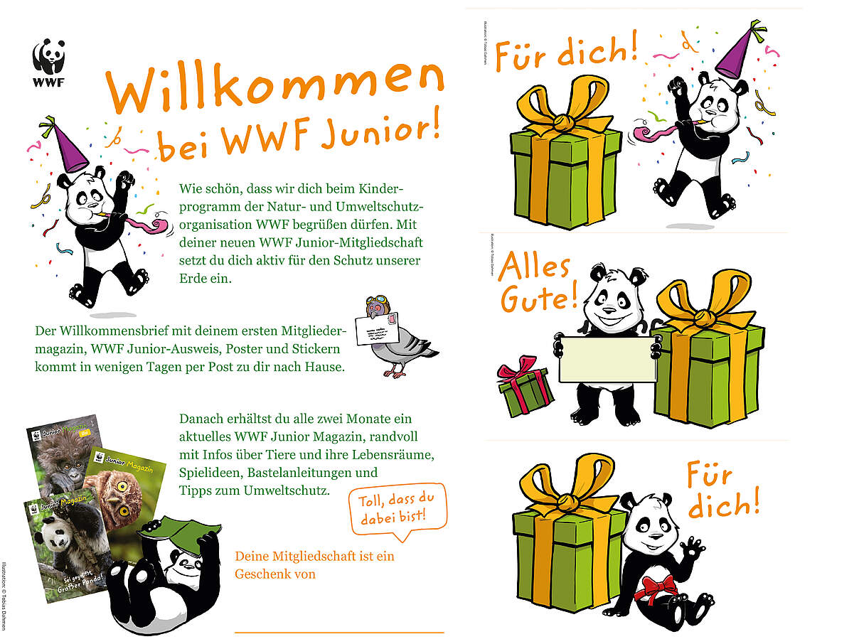 WWF Junior-Willkommensbrief sowie Klappkarten