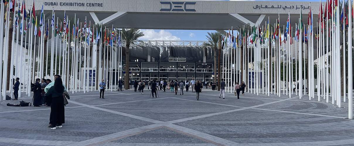 UN-Klimakonferenz COP28 in Dubai © WWF Deutschland