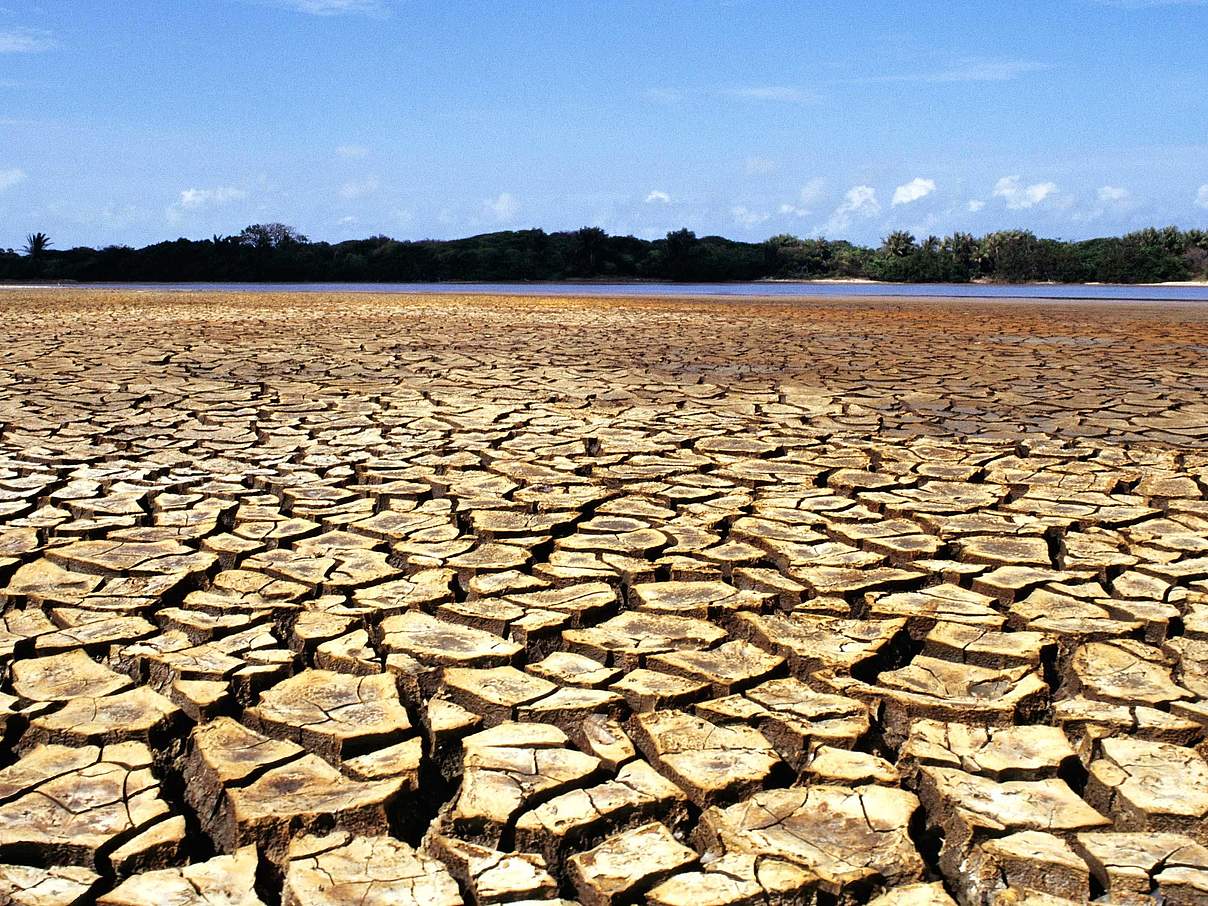 Dürreperiode © Adriano Gambarini / WWF-Brasilien