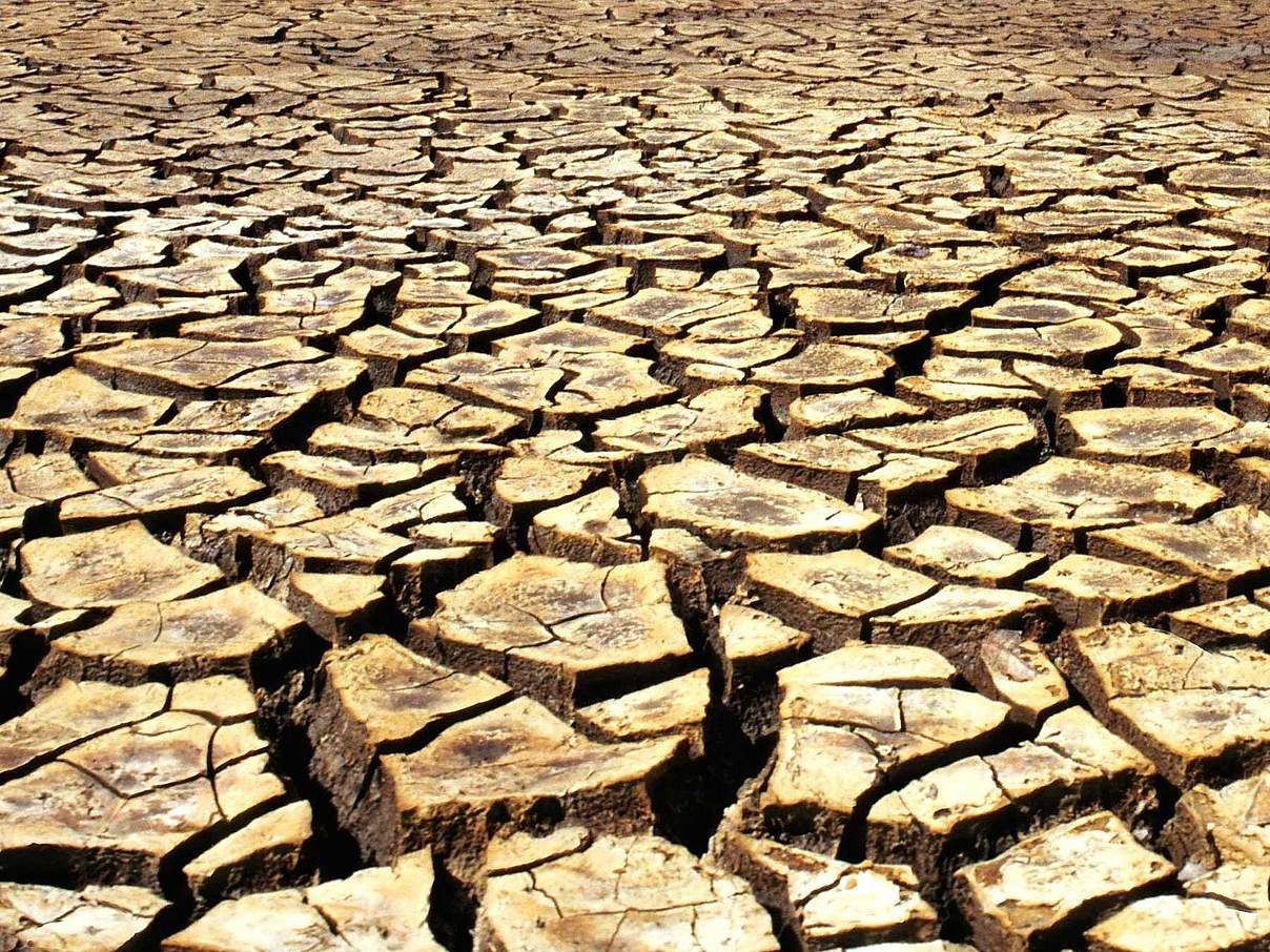 Dürreperiode © Adriano Gambarini / WWF-Brasilien