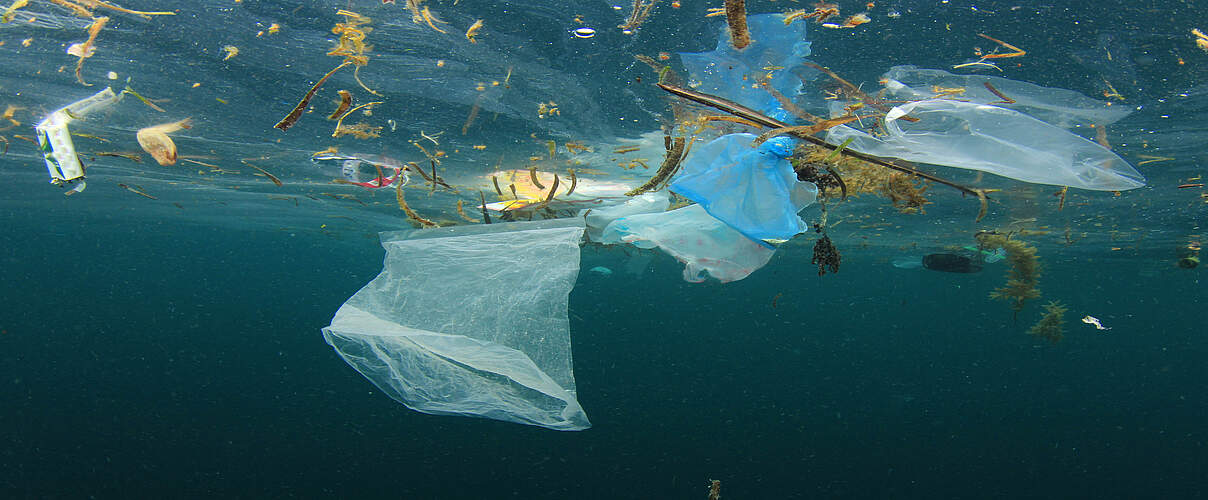 Plastikmüll im Meer © Shutterstock / Rich Carey / WWF