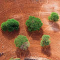 Luftaufnahme während der Trockenheit in Nairobi/ Kenia © Michael Poliza / WWF