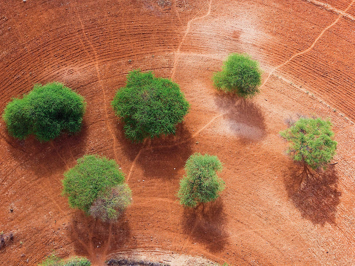 Luftaufnahme während der Trockenheit in Nairobi/ Kenia © Michael Poliza / WWF