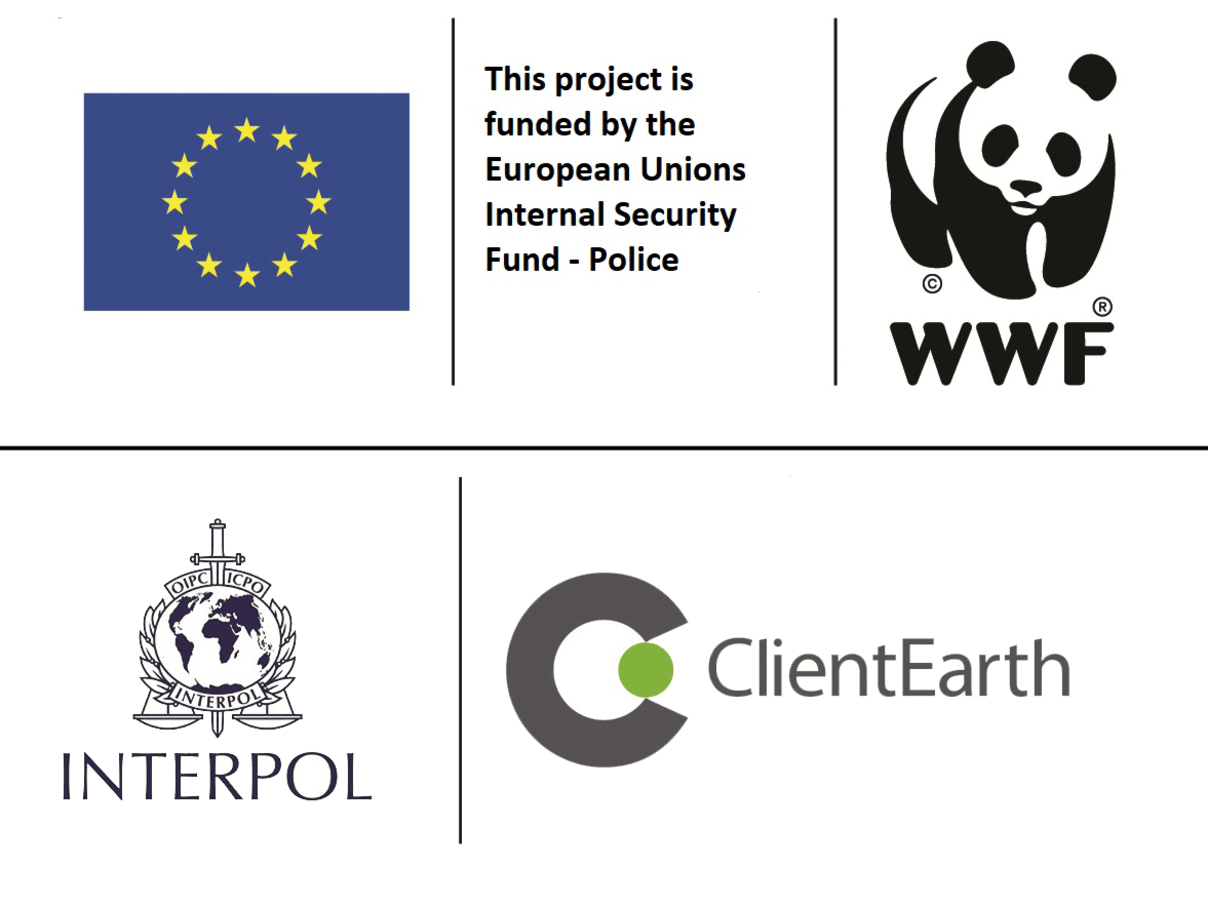 Beteiligte Organisationen an der EU Forest Crime Initiative