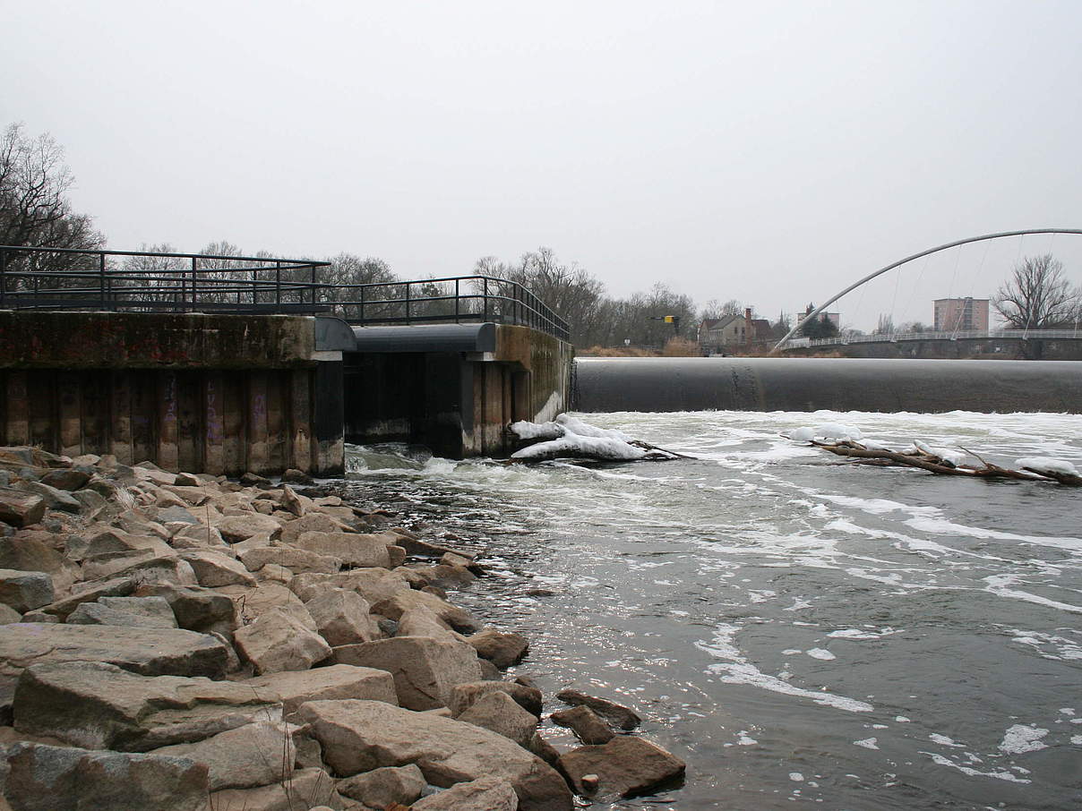 Wehr an der Mulde (bei Dessau) mit Aufstiegsanlage (links) © Karl Heinz Jährling