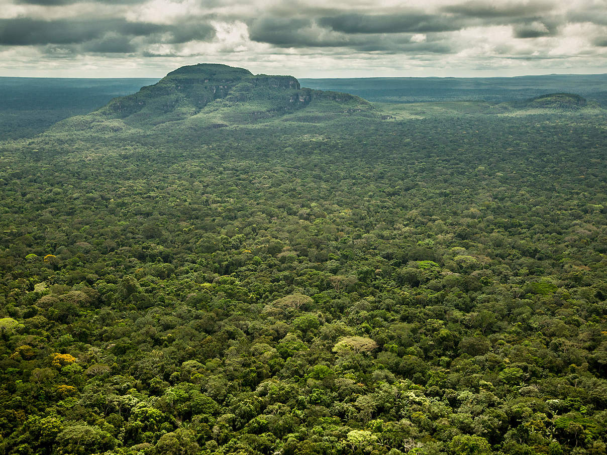 Größter Regenwald-Nationalpark der Erde © César David Martínez