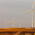 Windkrafträder auf einem Hügel von der Abendsonne in Spanien beschienen
