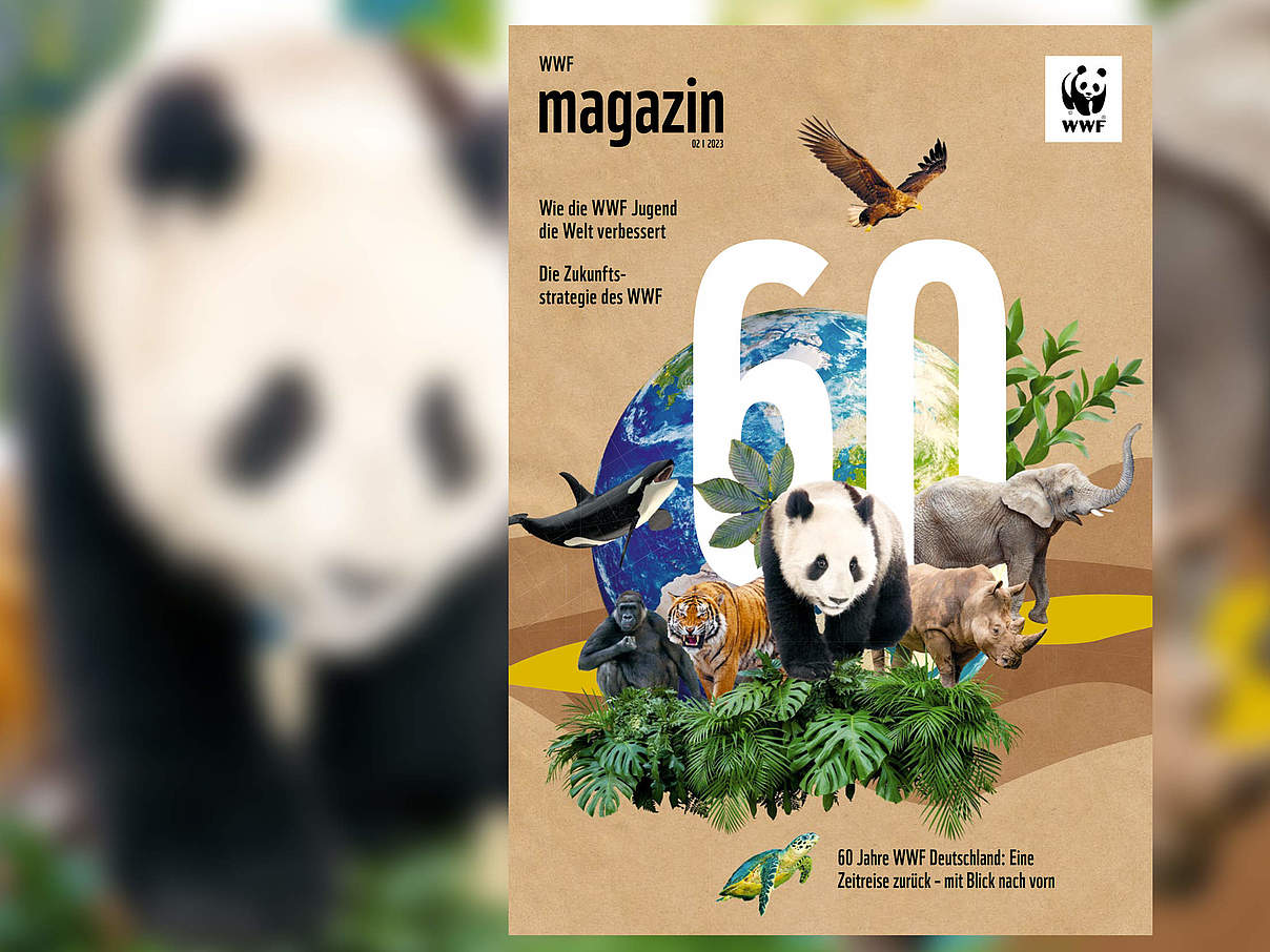 Titel des WWF Magazin 02/2023 © Dworak & Kornmesser / M. Waldthausen / WWF, O. Kamenskaya / mauritius images / nature picture library, J.-L. Klein & M.-L. Hubert/Juniors, A.-P. Brandes / WWF, G. Saillard / WWF
