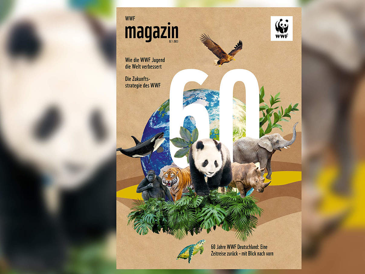 Titel des WWF Magazin 02/2023 © Dworak & Kornmesser / M. Waldthausen / WWF, O. Kamenskaya / mauritius images / nature picture library, J.-L. Klein & M.-L. Hubert/Juniors, A.-P. Brandes / WWF, G. Saillard / WWF