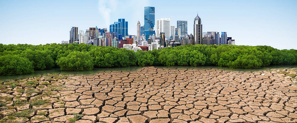 Klimaschutz und Wachstum müssen zusammen gedacht werden © Getty Images