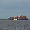 Containerfrachter auf der Elbe. © Hans-Ulrich Roesner / WWF