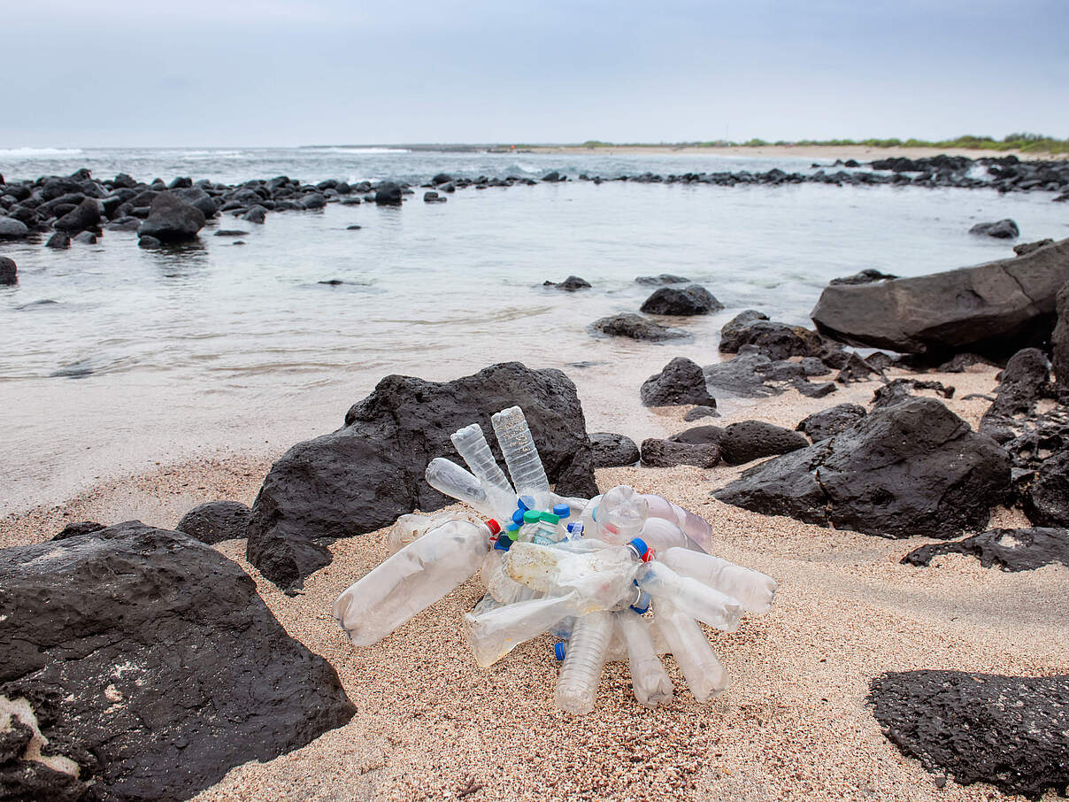 An einem Strand der Insel Cristobal, Galapagos, gesammelte Plastikflaschen