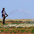 Bewässerung in Marokko mit EDEKA Logo © Michel Gunther / WWF