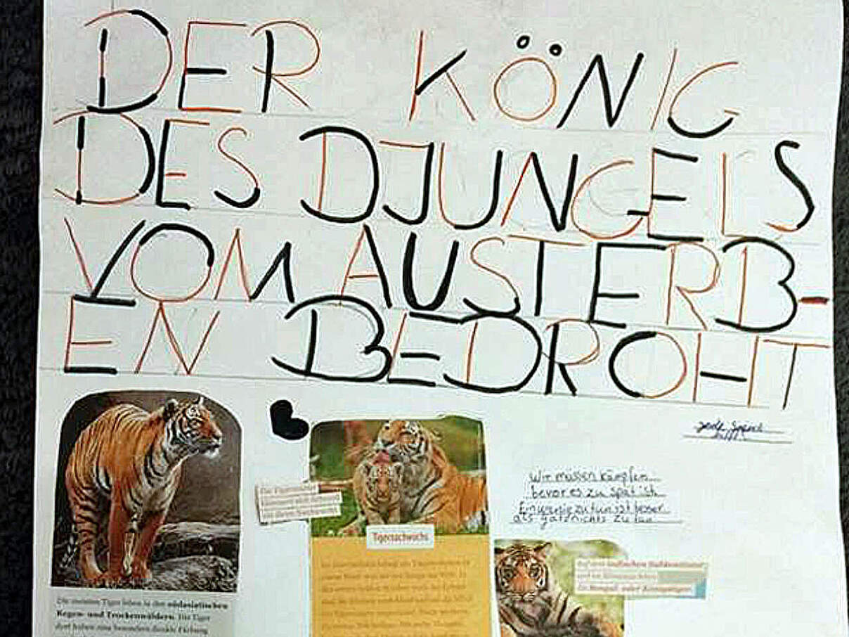 Spendenaktion für Tiger